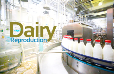 Dairy Reproduction
