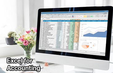 الإكسيل المحاسبي